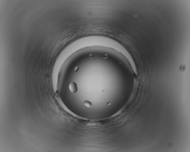 X0000112160415200908281408