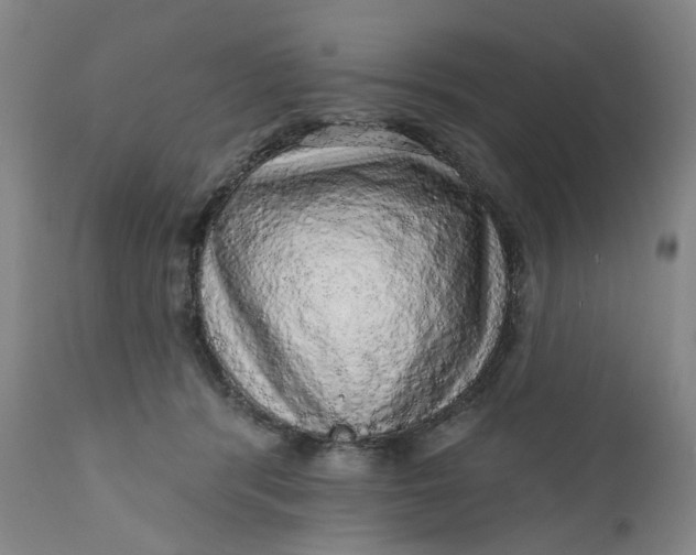 X0000112160416200908281408