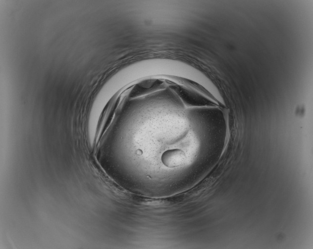 X0000112160417200908281408