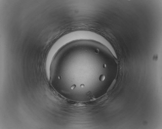 X0000112160419200908281408