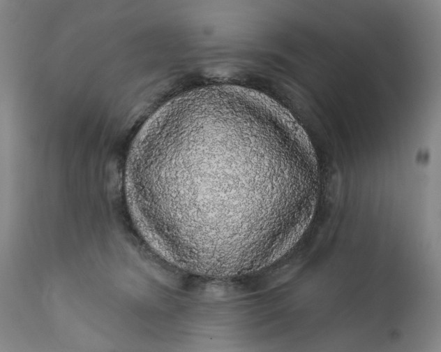 X0000112160420200908281408