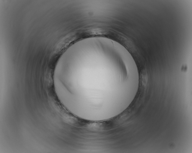 X0000112160422200908281408