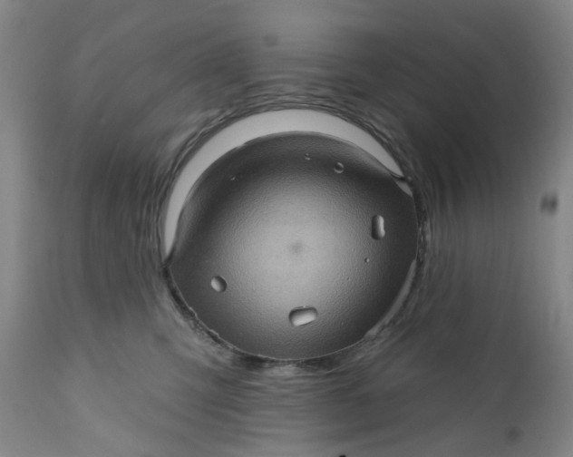 X0000112160423200908281408