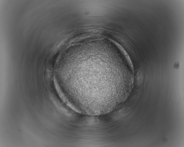 X0000112160424200908281408