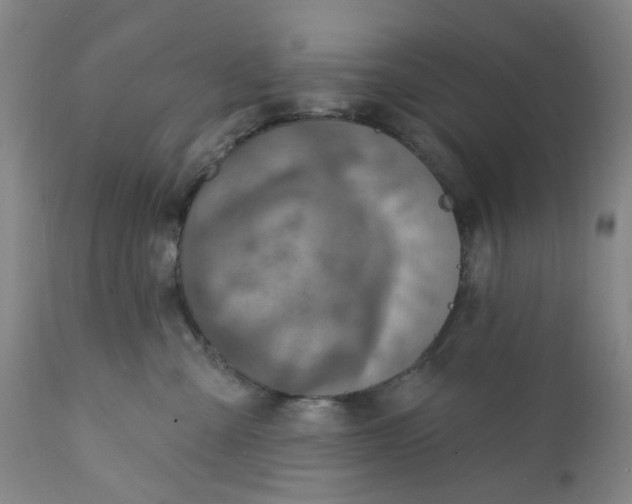 X0000112160427200908281408