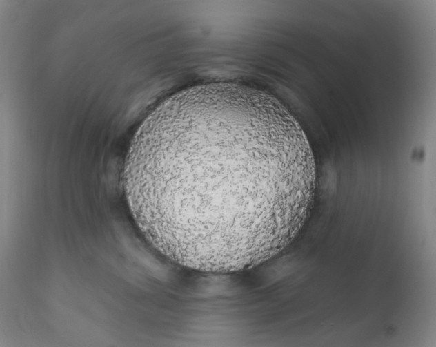 X0000112160428200908281408