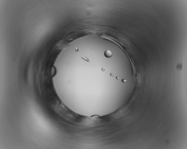 X0000112160429200908281408