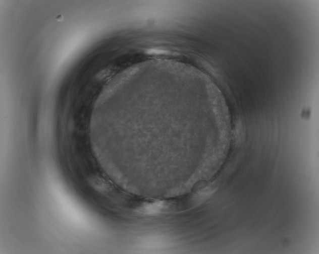 X0000112160430200908281408