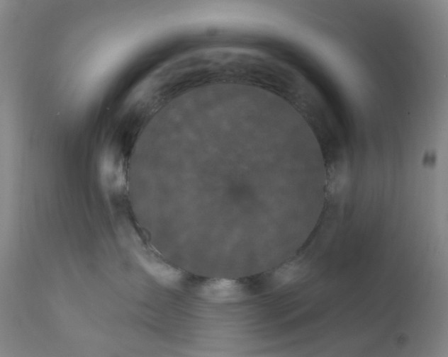 X0000112160431200908281408