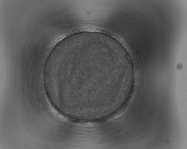 X0000112160433200908281407