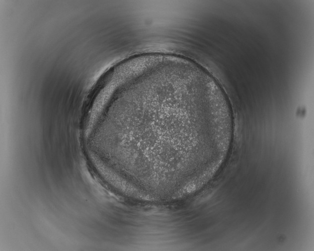 X0000112160434200908281407