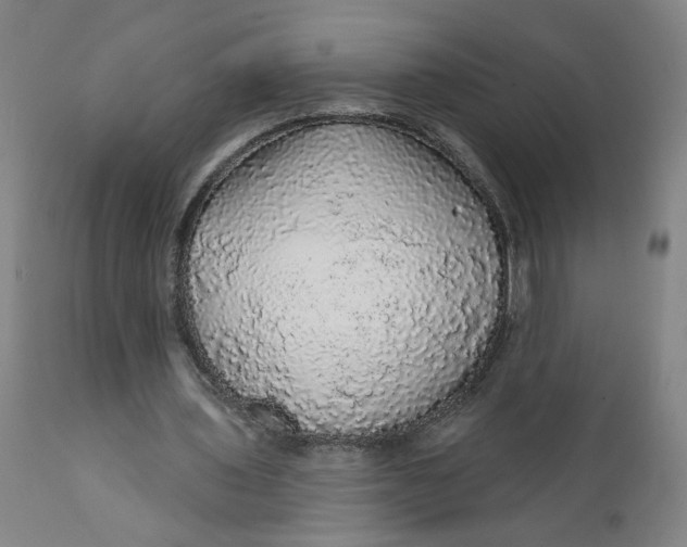 X0000112160435200908281408