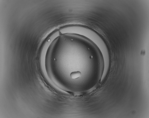 X0000112160436200908281408