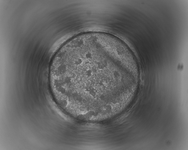 X0000112160437200908281408