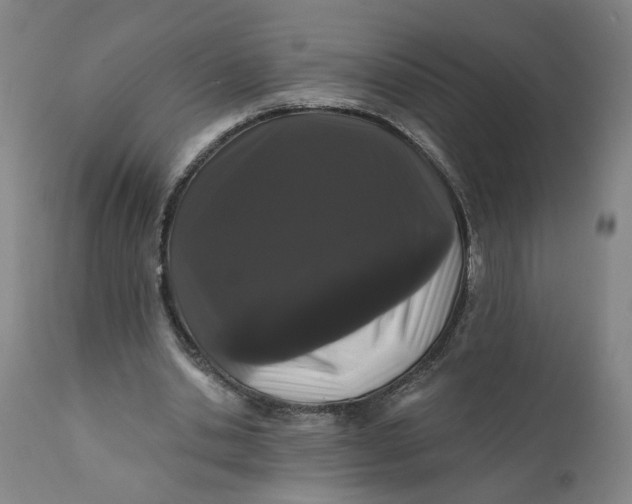 X0000112160438200908281408