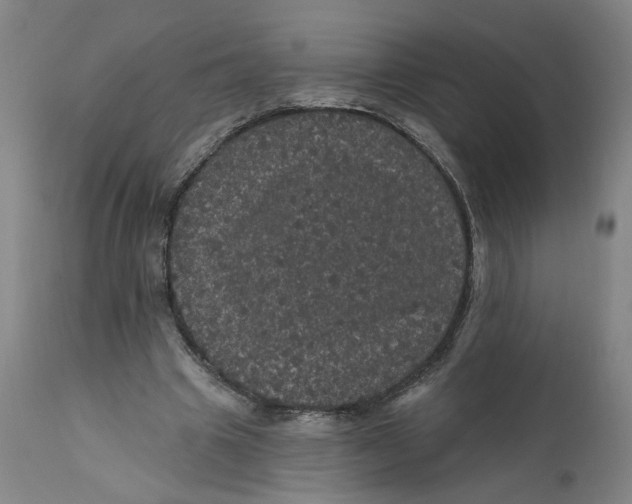 X0000112160441200908281408