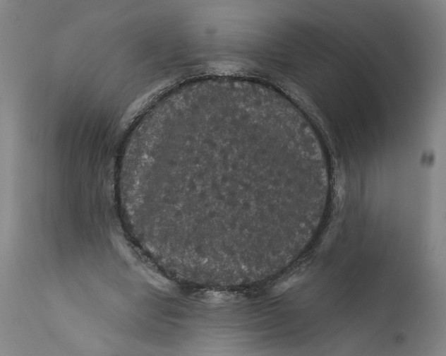 X0000112160442200908281408