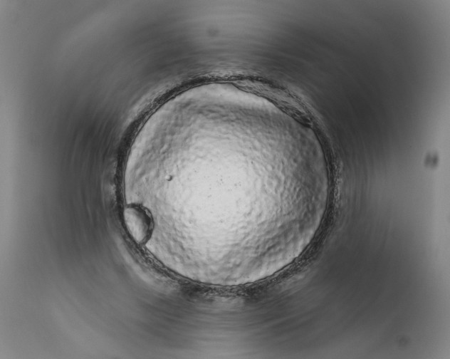 X0000112160443200908281408