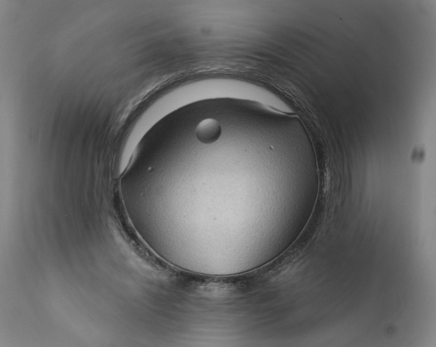 X0000112160444200908281408