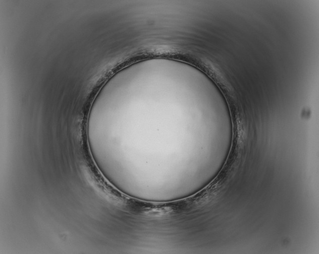 X0000112160447200908281408