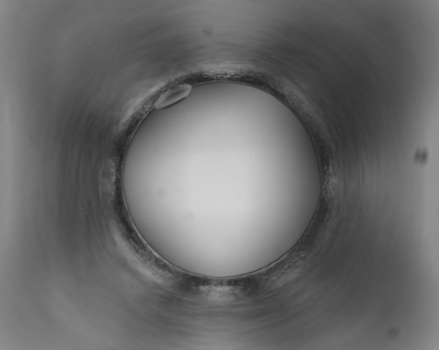 X0000112160448200908281408