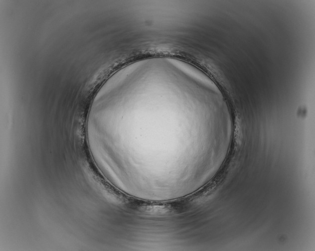 X0000112160449200908281408