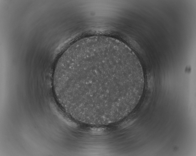 X0000112160450200908281408