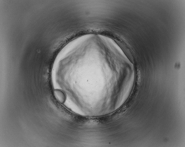 X0000112160451200908281408