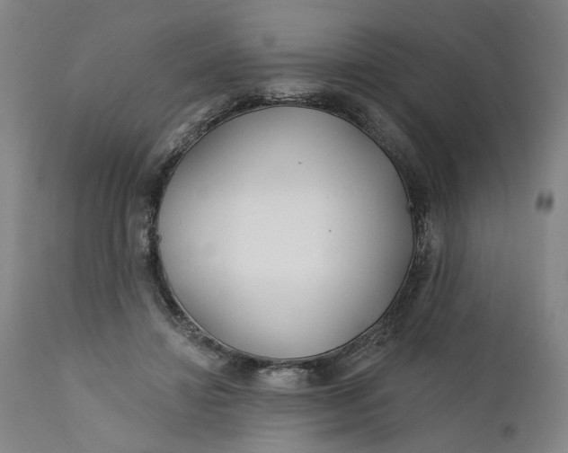 X0000112160452200908281408