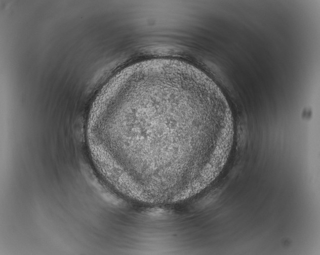 X0000112160453200908281408