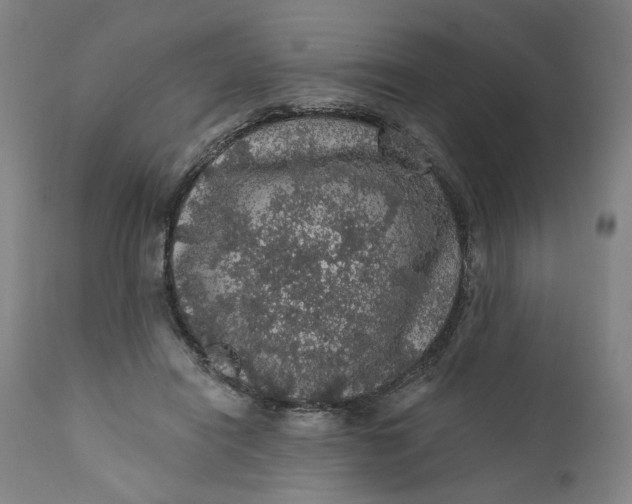 X0000112160454200908281408