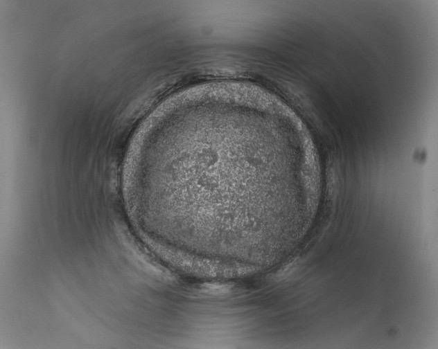 X0000112160457200908281408