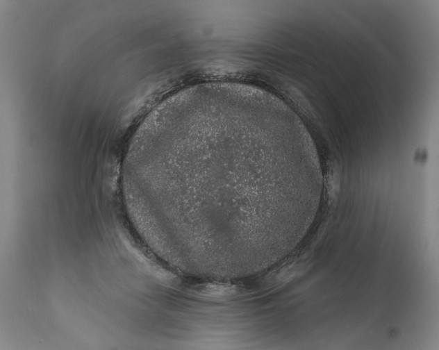 X0000112160458200908281408