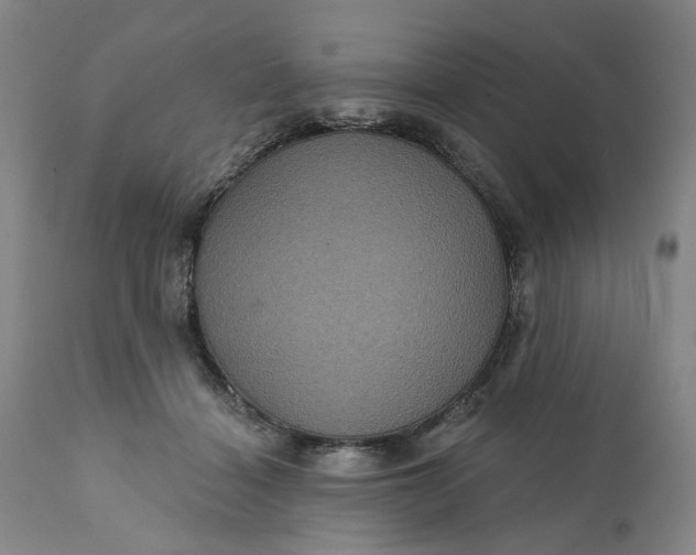 X0000112160460200908281408