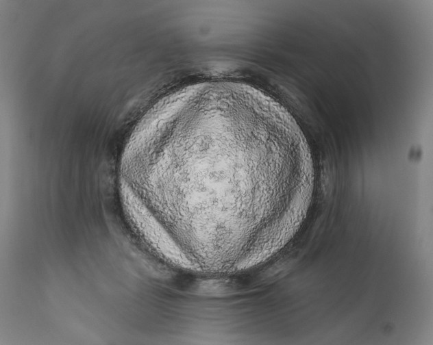 X0000112160461200908281408