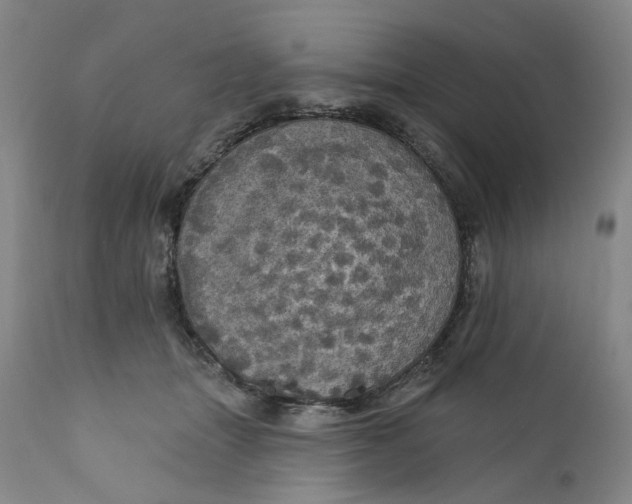 X0000112160463200908281408