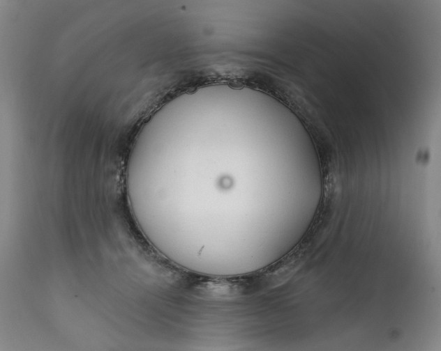 X0000112160464200908281408