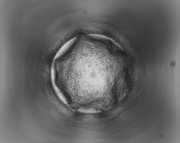 X0000112160465200908281408