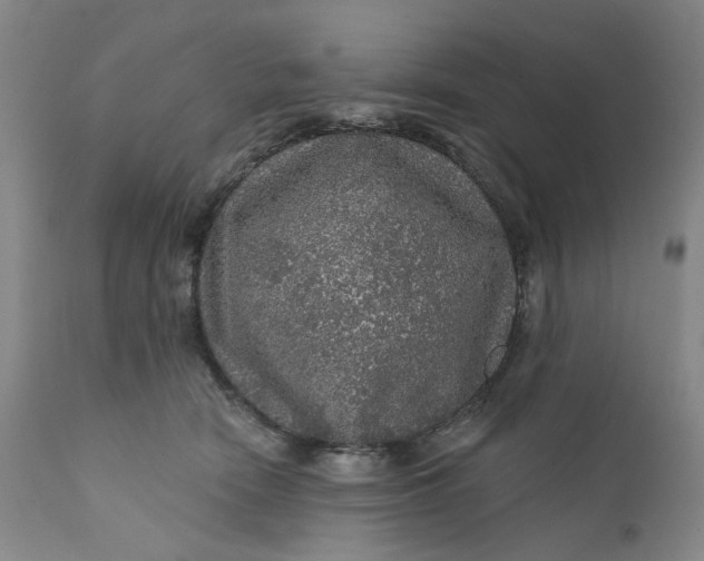 X0000112160466200908281408