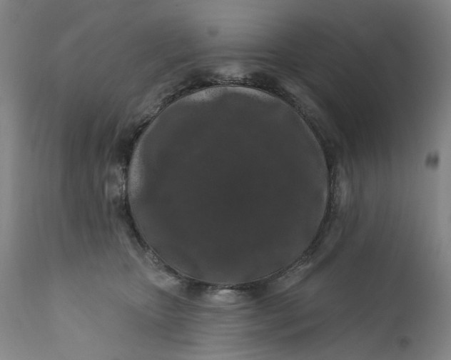 X0000112160467200908281408