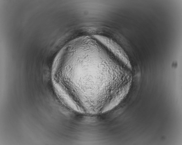 X0000112160469200908281408