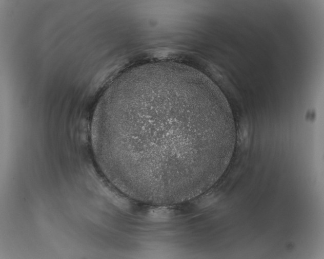 X0000112160470200908281408