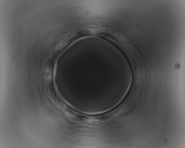 X0000112160471200908281408