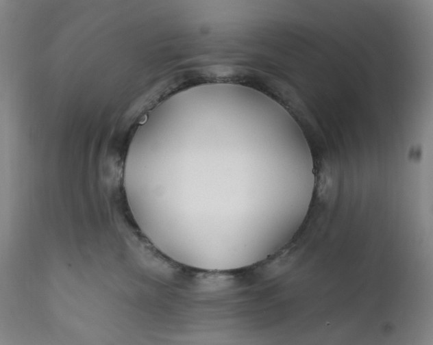 X0000112160476200908281408