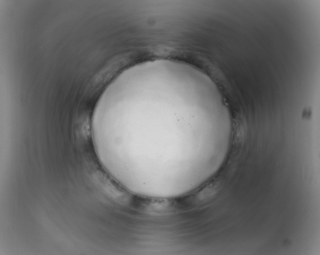 X0000112160479200908281408