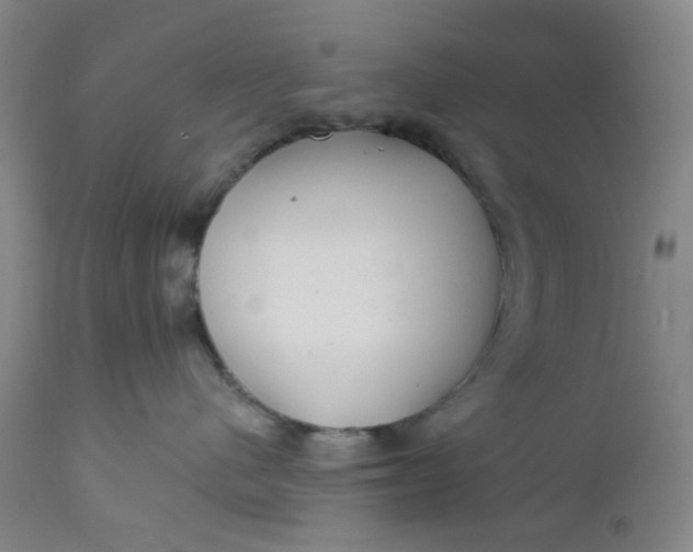 X0000112160480200908281408