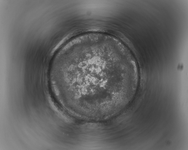 X0000112160482200908281407