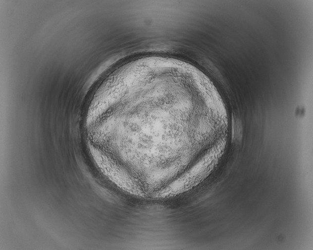 X0000112160483200908281407