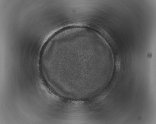 X0000112160484200908281407