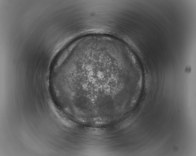 X0000112160486200908281407